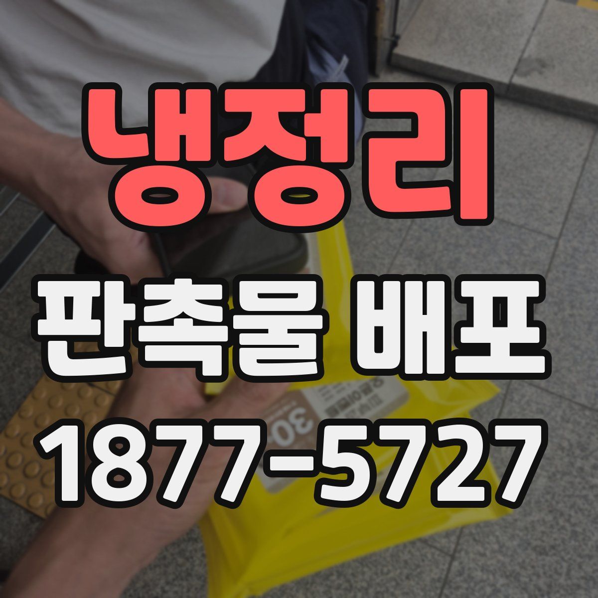 냉정리 판촉물 배포
