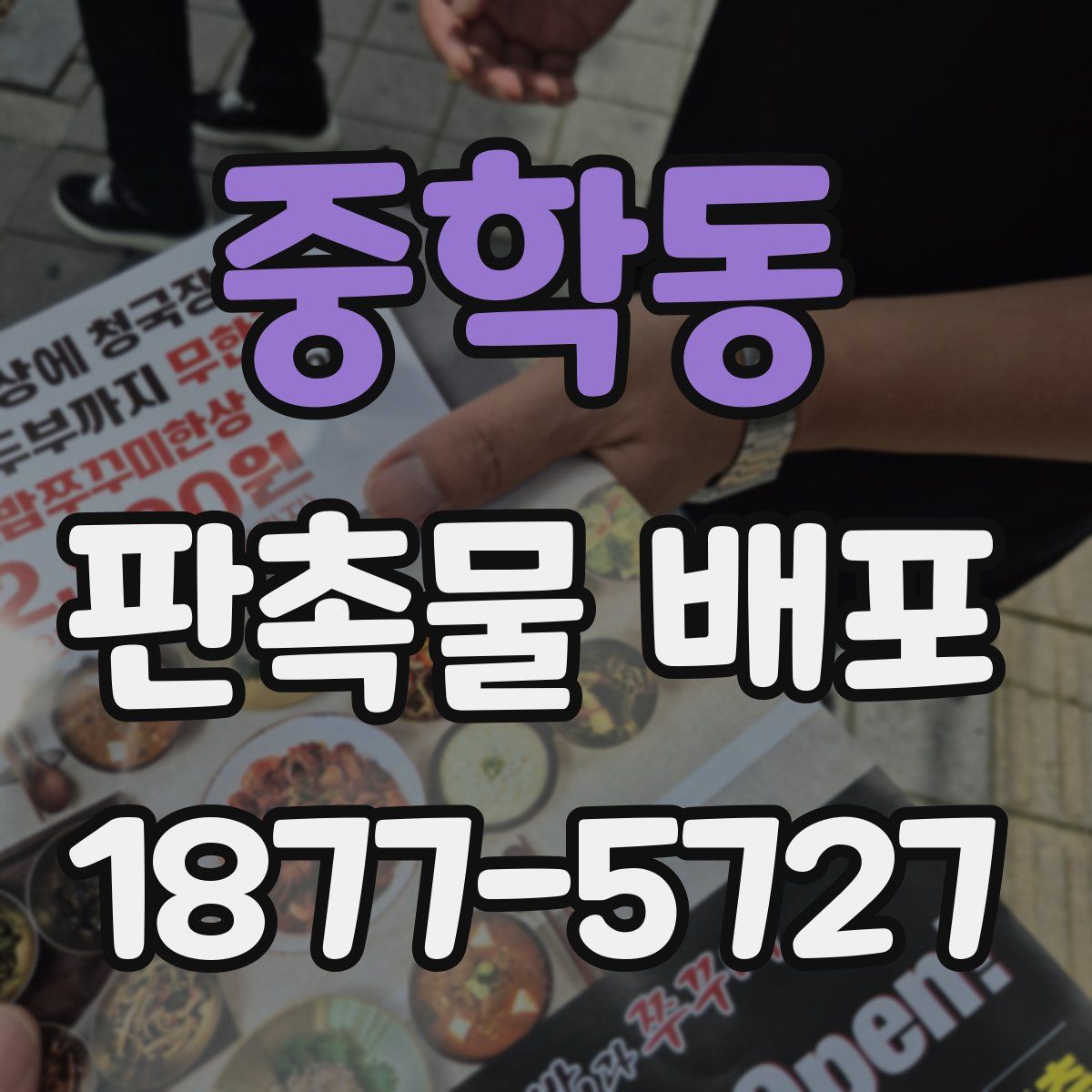 중학동 판촉물 배포