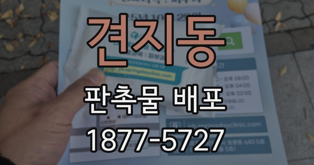 견지동 판촉물 배포