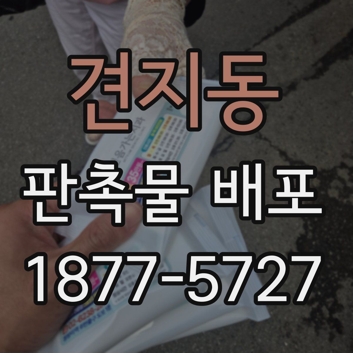 견지동 판촉물 배포