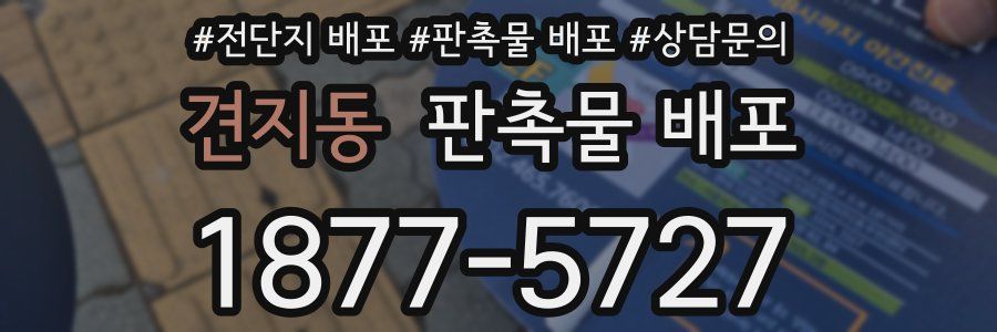 견지동 판촉물 배포