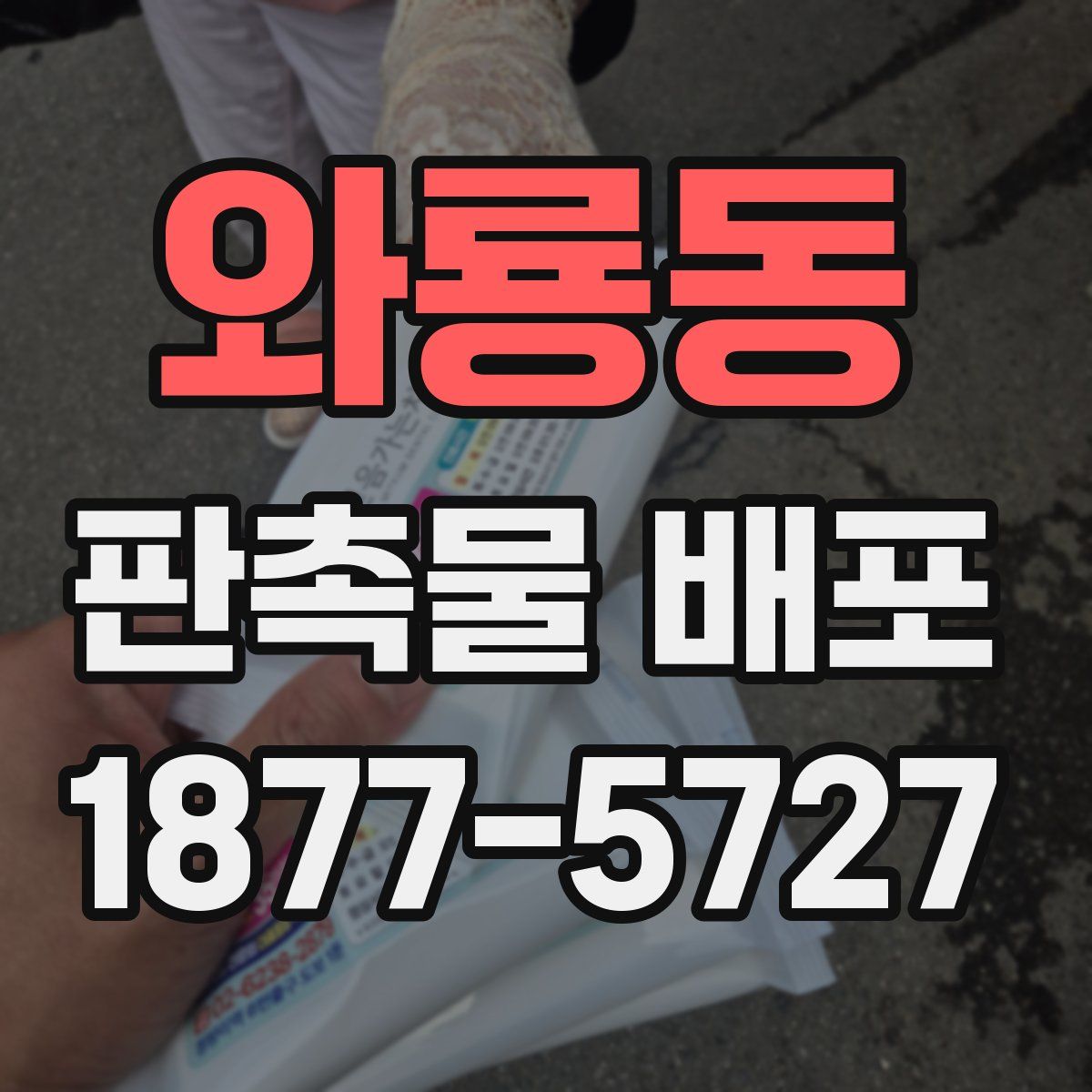 와룡동 판촉물 배포