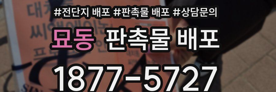 묘동 판촉물 배포