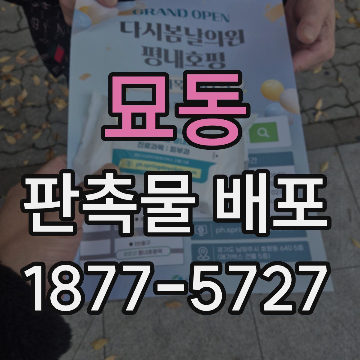 묘동 판촉물 배포