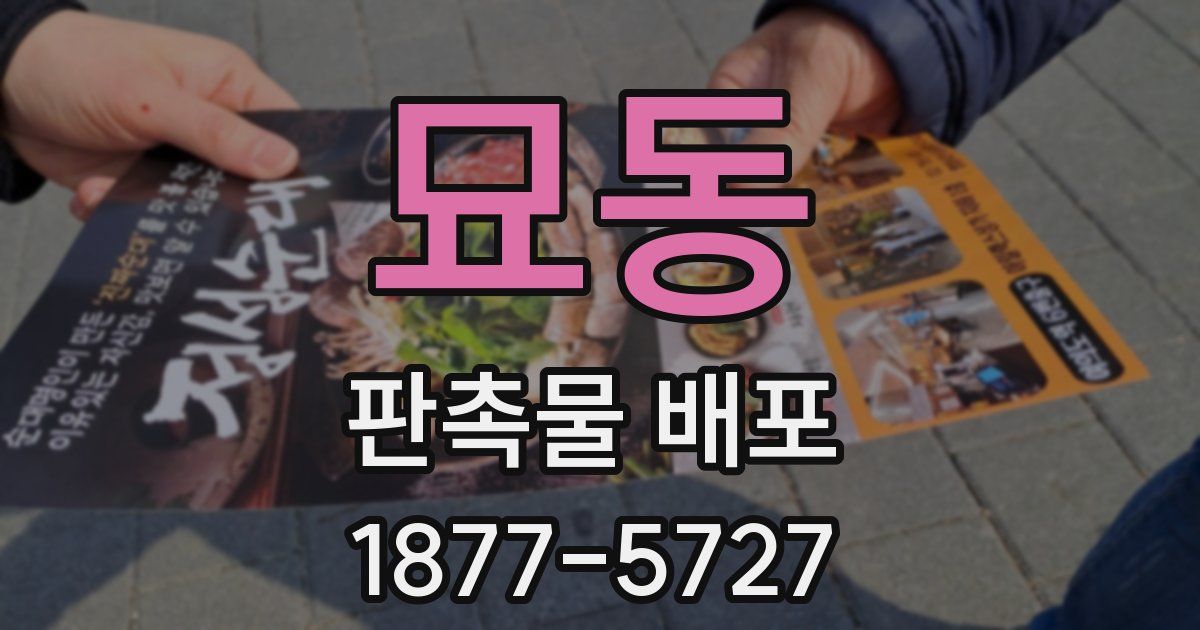 묘동 판촉물 배포