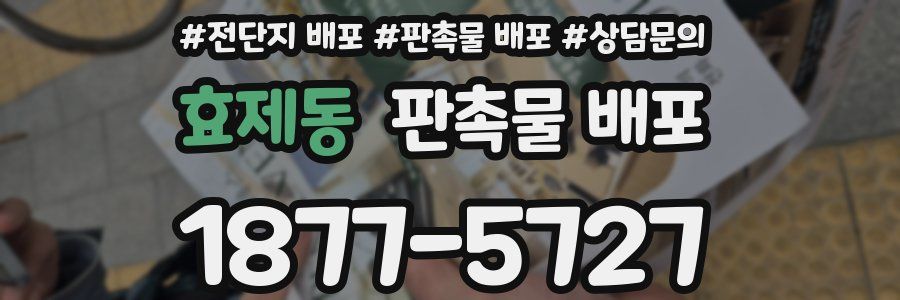 효제동 판촉물 배포