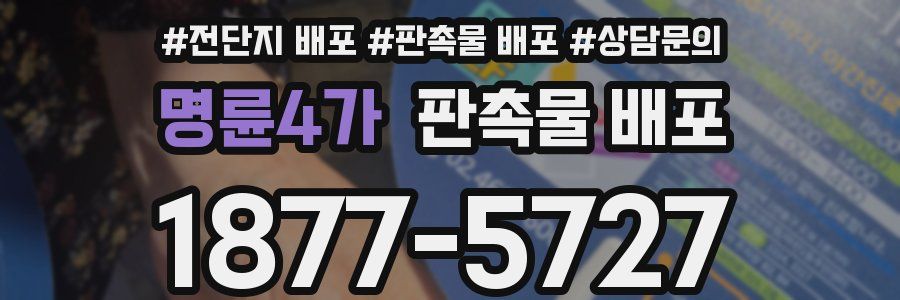 명륜4가 판촉물 배포