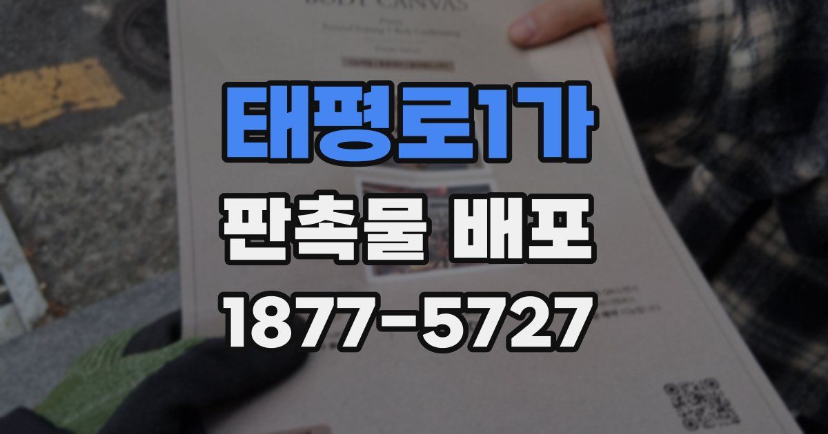 태평로1가 판촉물 배포
