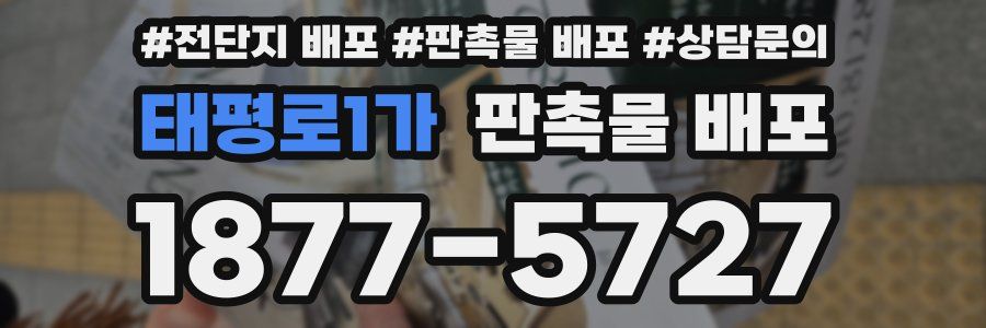 태평로1가 판촉물 배포