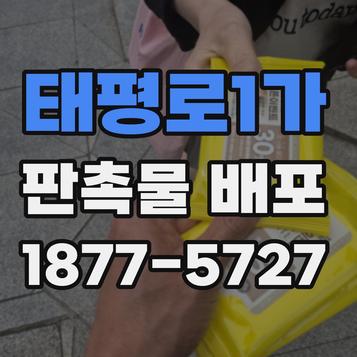 태평로1가 판촉물 배포