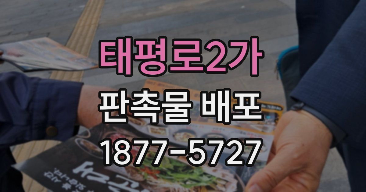 태평로2가 판촉물 배포