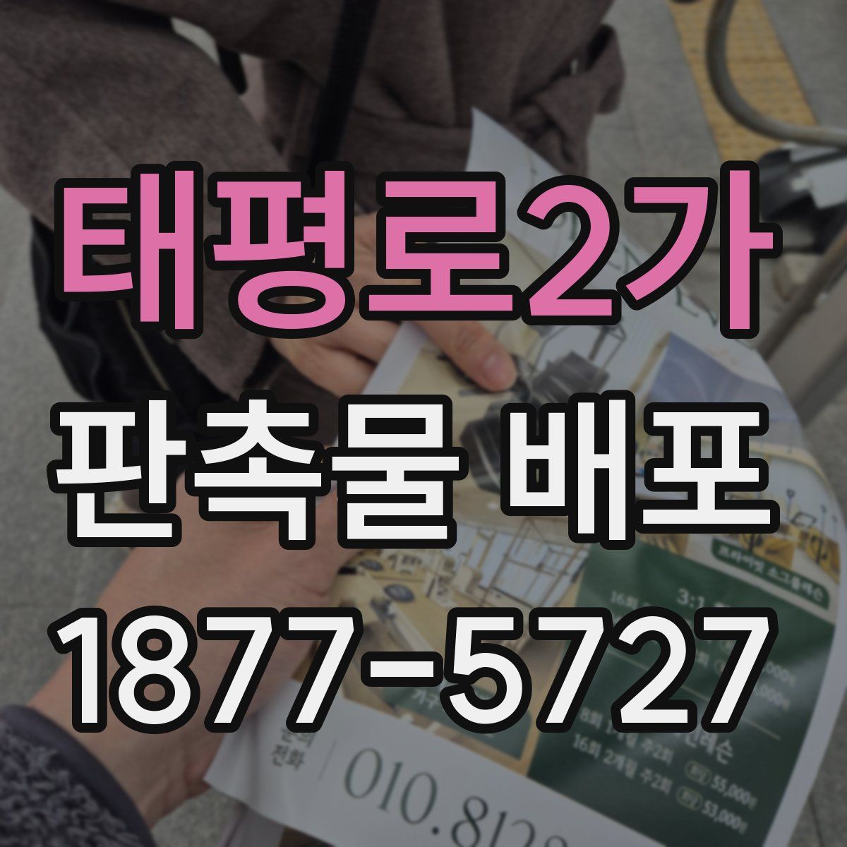 태평로2가 판촉물 배포