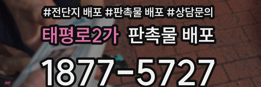 태평로2가 판촉물 배포