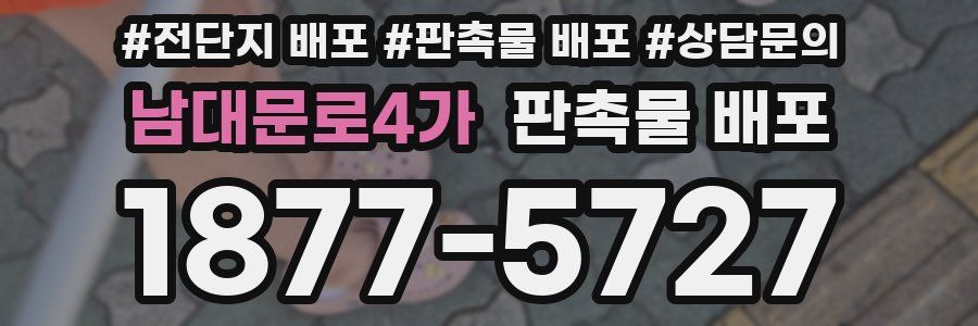 남대문로4가 판촉물 배포
