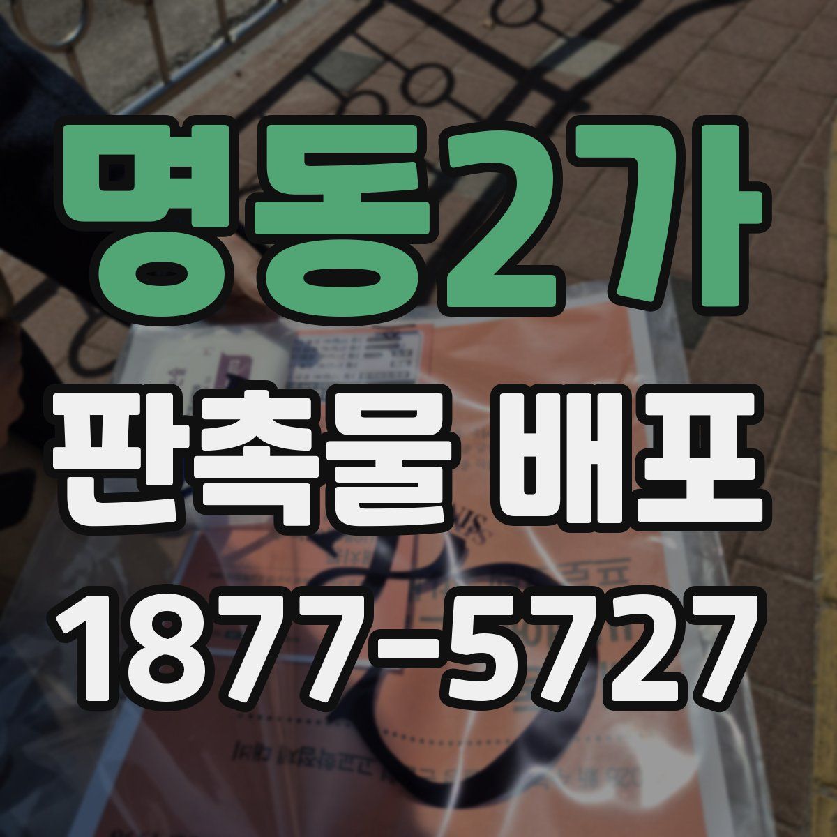 명동2가 판촉물 배포