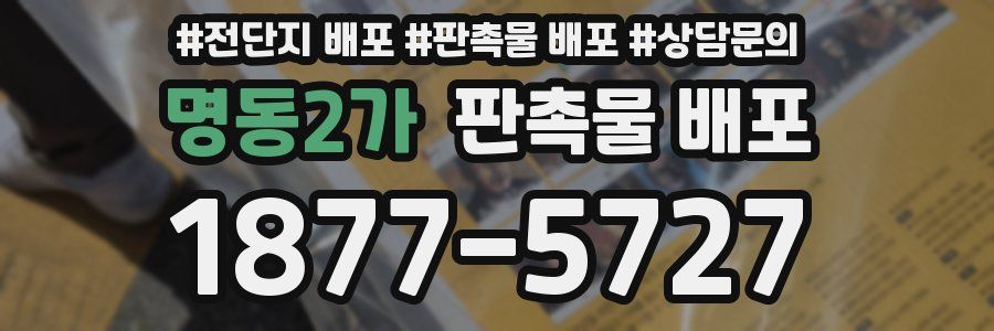 명동2가 판촉물 배포