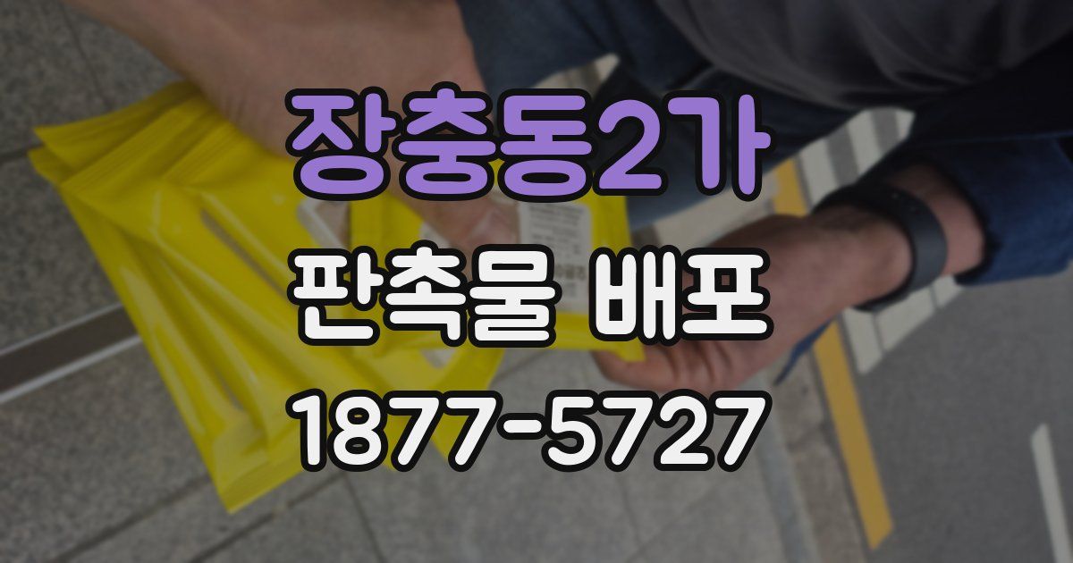 장충동2가 판촉물 배포