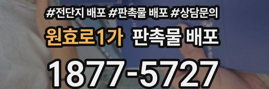 원효로1가 판촉물 배포