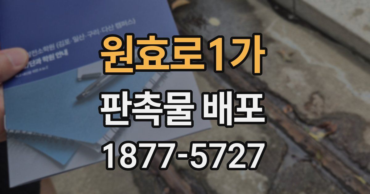 원효로1가 판촉물 배포