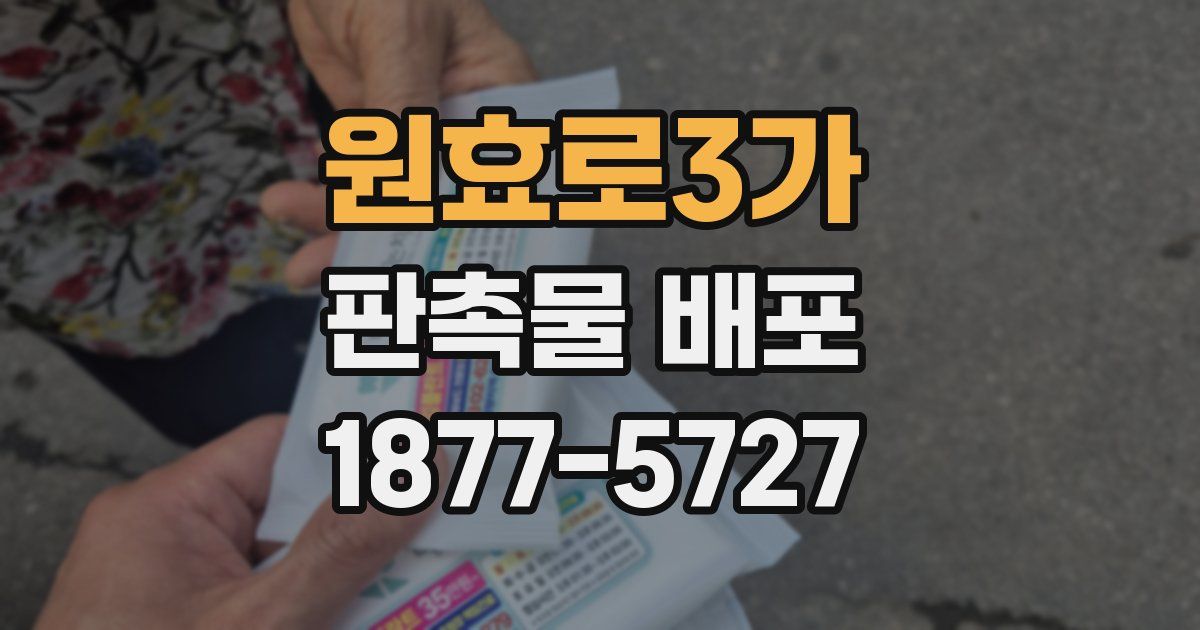 원효로3가 판촉물 배포