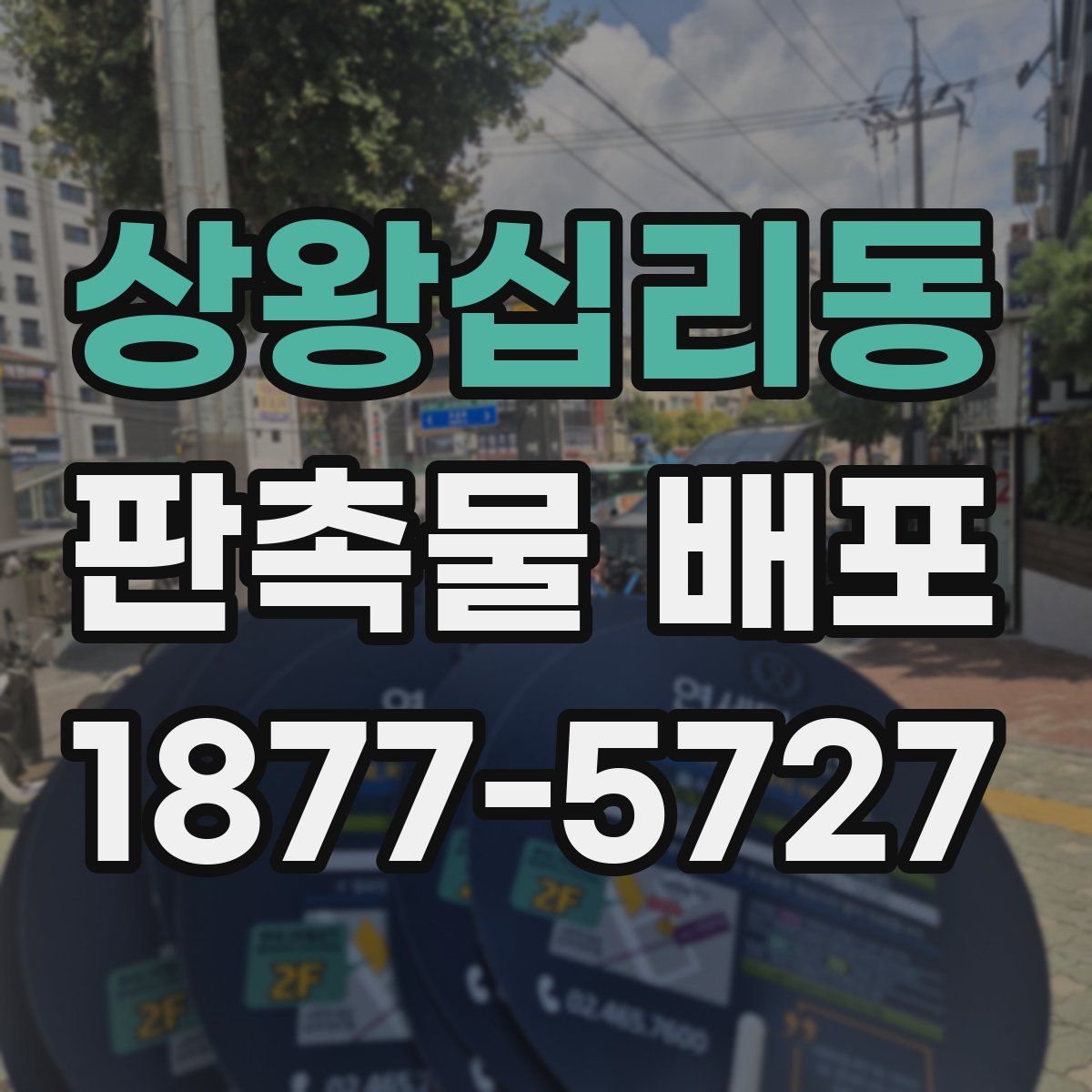 상왕십리동 판촉물 배포