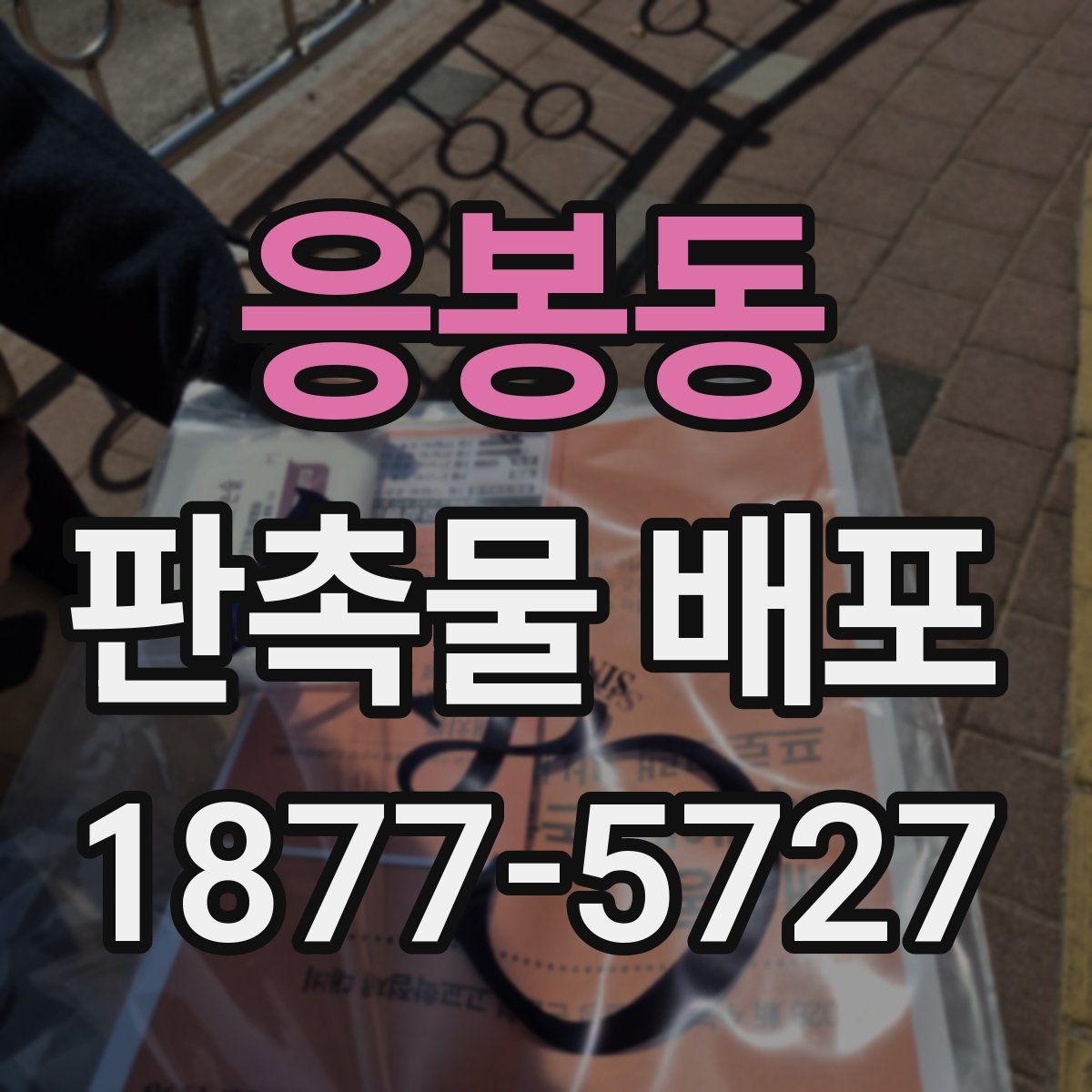 응봉동 판촉물 배포