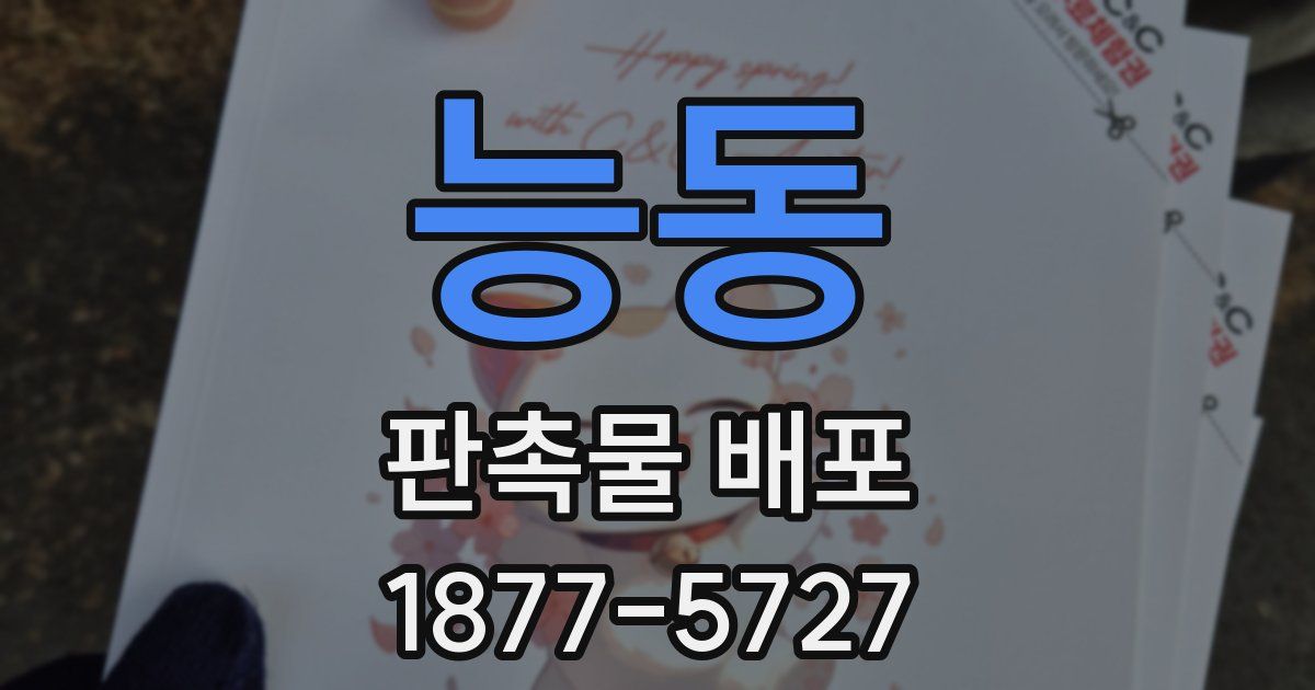 능동 판촉물 배포