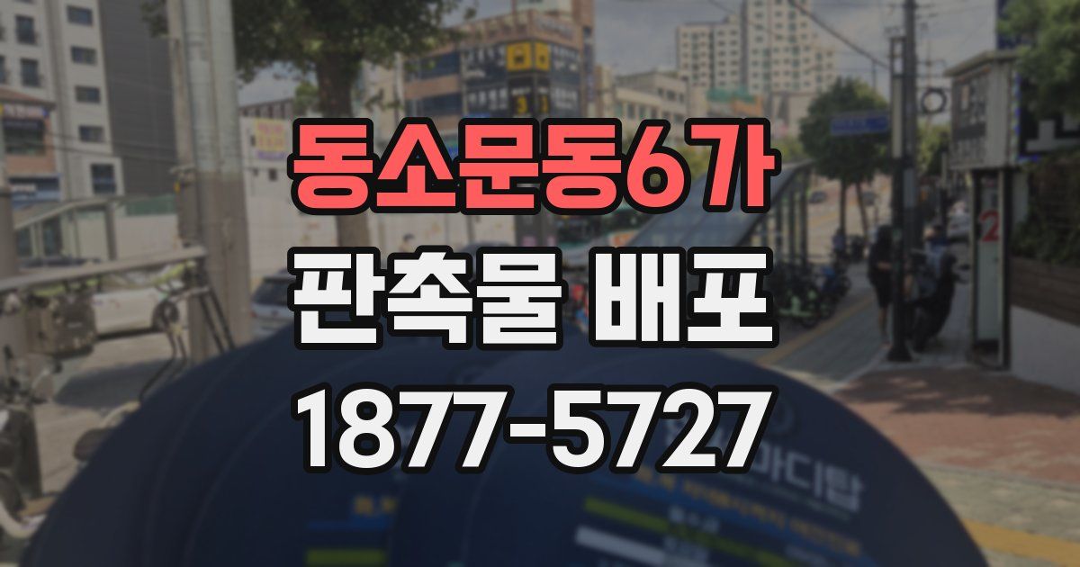동소문동6가 판촉물 배포