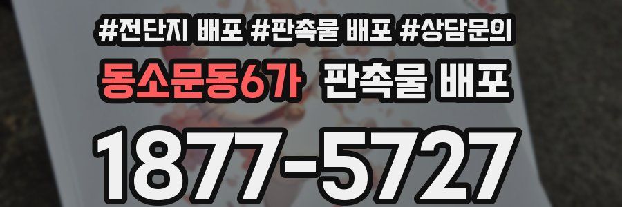 동소문동6가 판촉물 배포