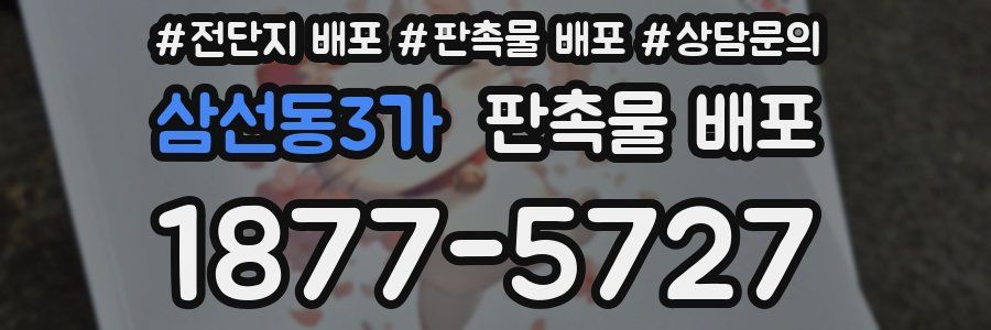 삼선동3가 판촉물 배포