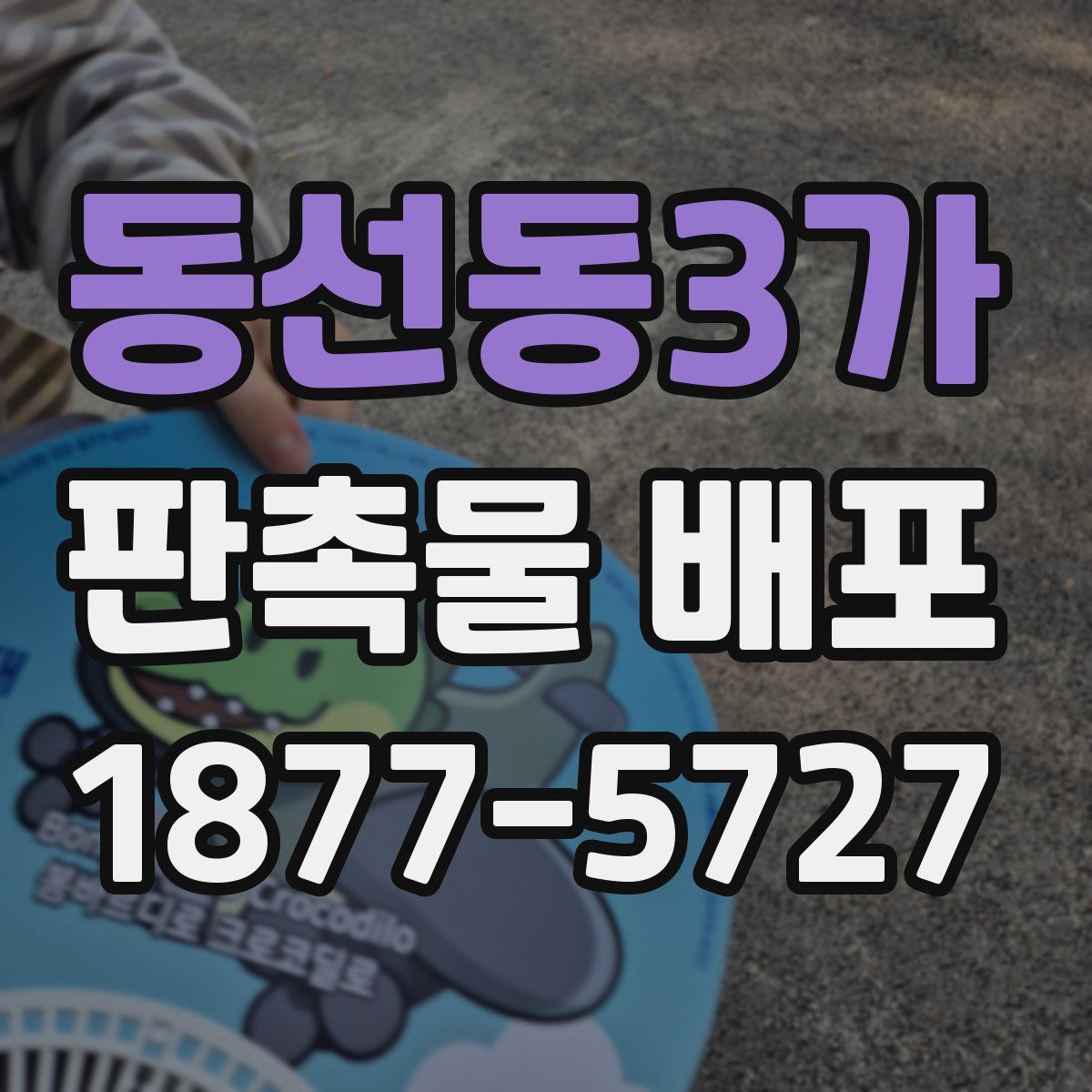 동선동3가 판촉물 배포