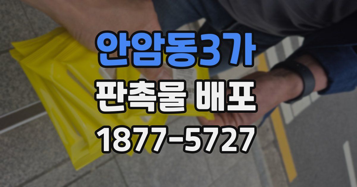 안암동3가 판촉물 배포