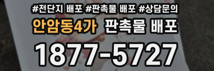 안암동4가 판촉물 배포