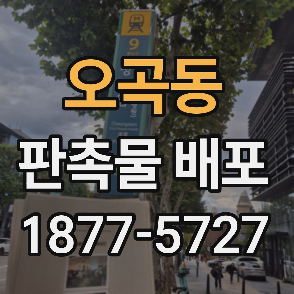 오곡동 판촉물 배포