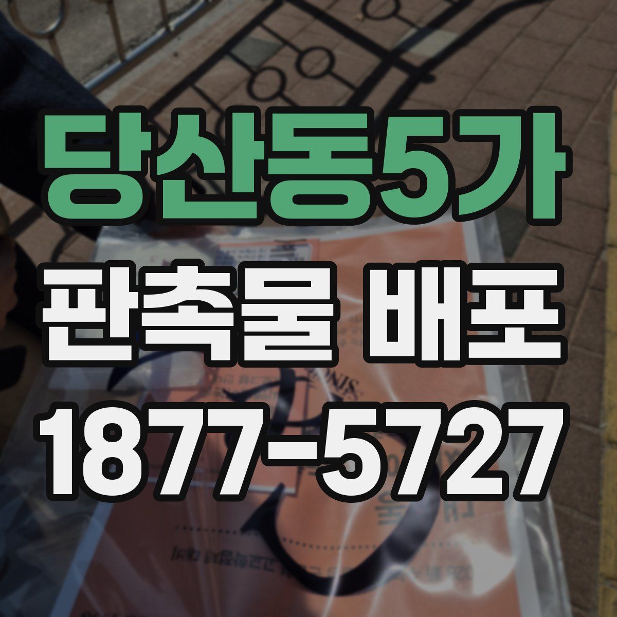 당산동5가 판촉물 배포