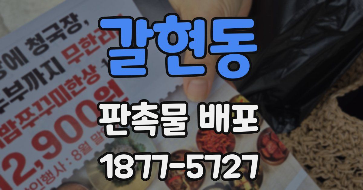 갈현동 판촉물 배포