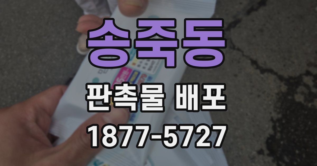 송죽동 판촉물 배포