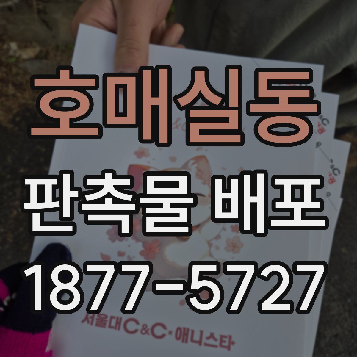 호매실동 판촉물 배포