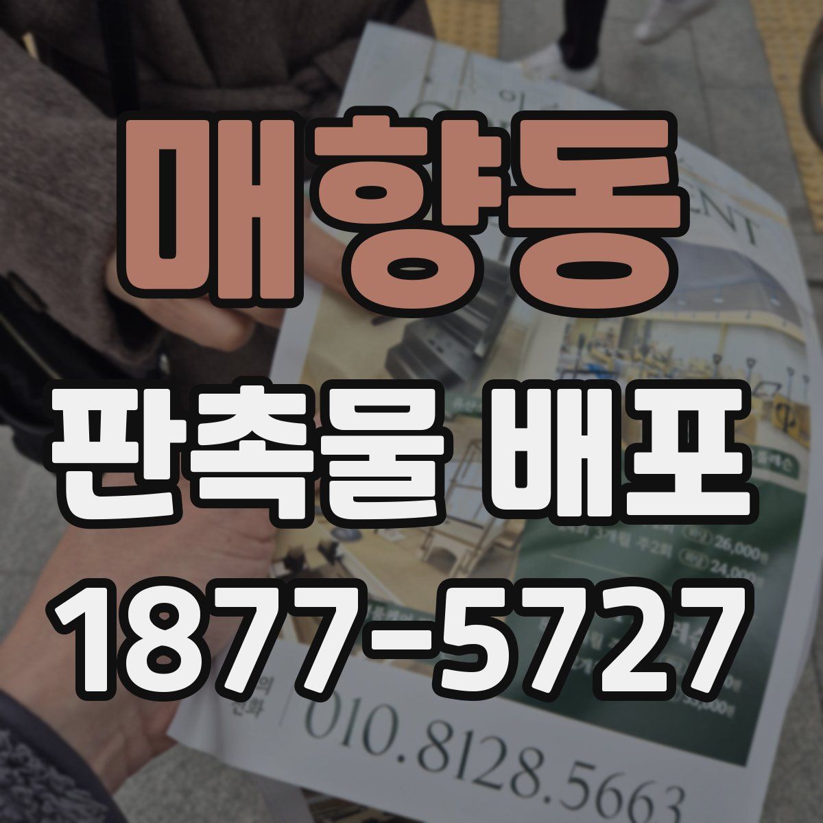 매향동 판촉물 배포