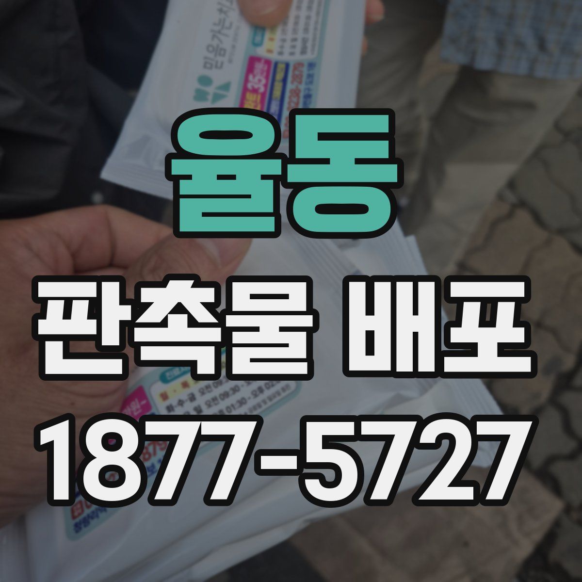 율동 판촉물 배포
