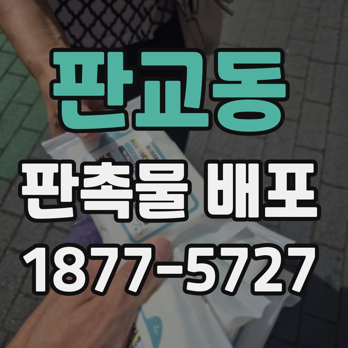 판교동 판촉물 배포