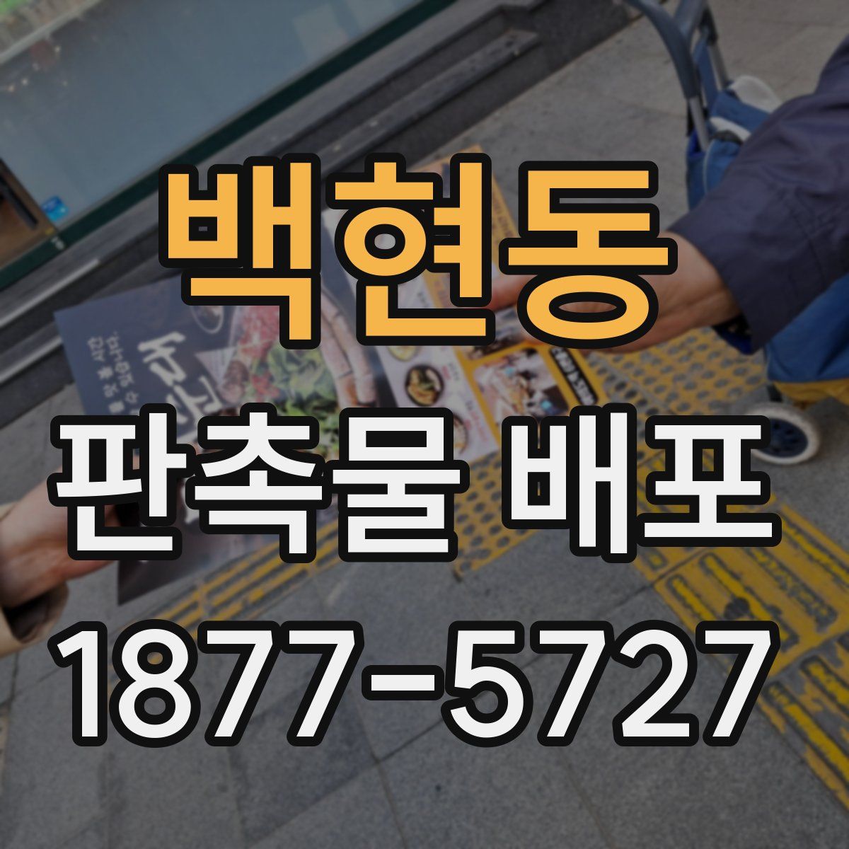 백현동 판촉물 배포