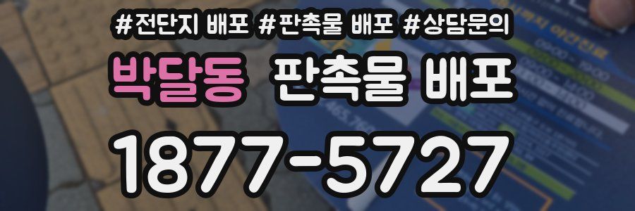 박달동 판촉물 배포