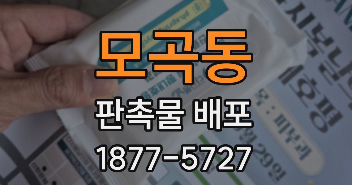 모곡동 판촉물 배포