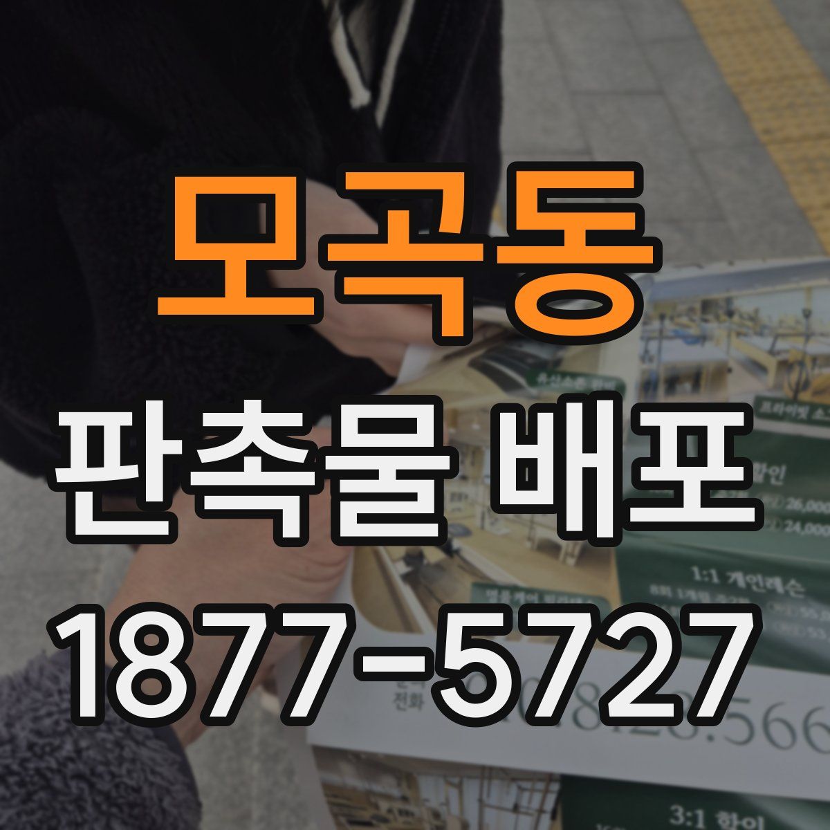 모곡동 판촉물 배포