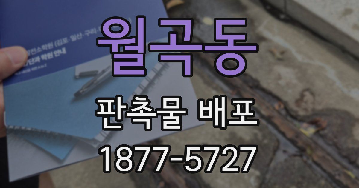 월곡동 판촉물 배포