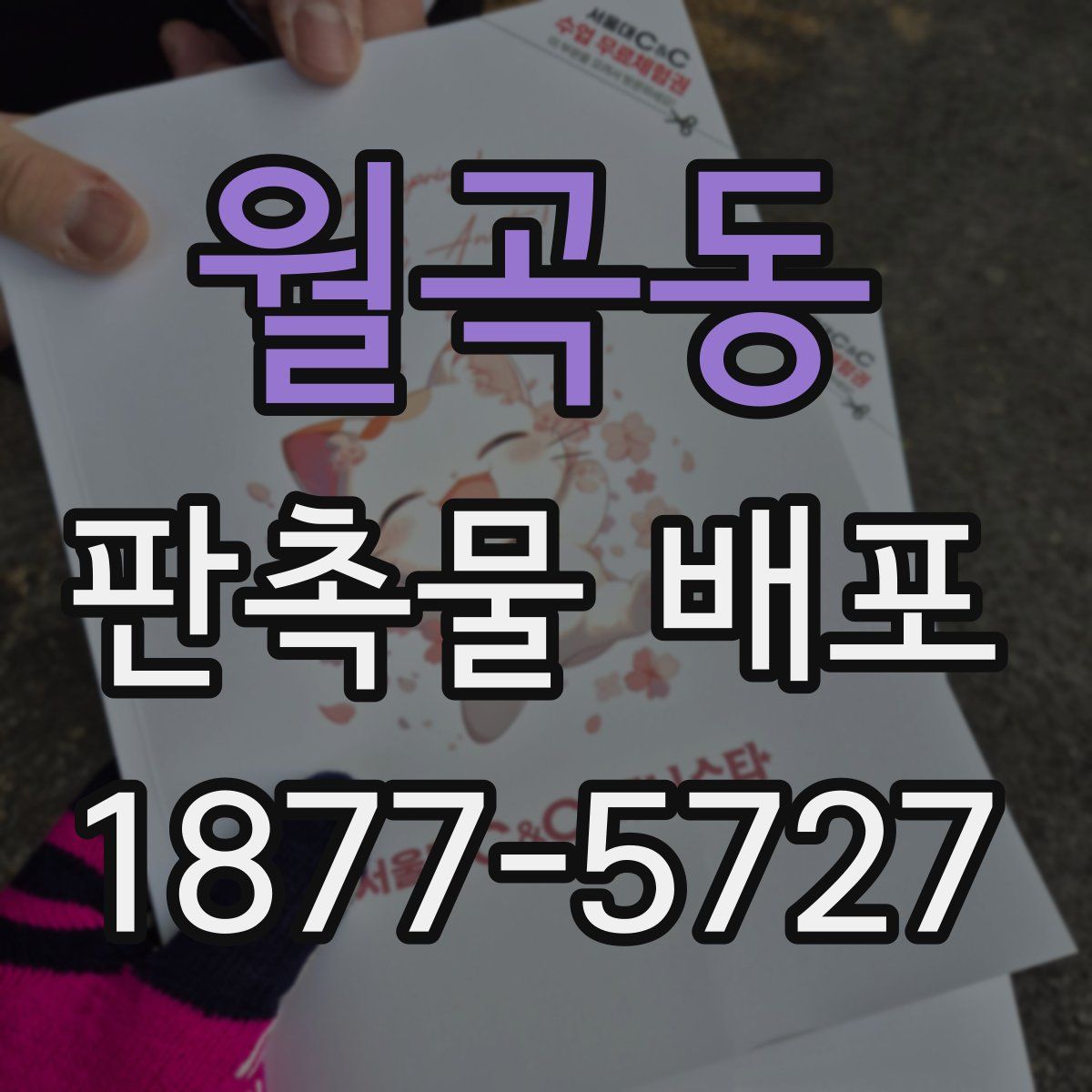 월곡동 판촉물 배포