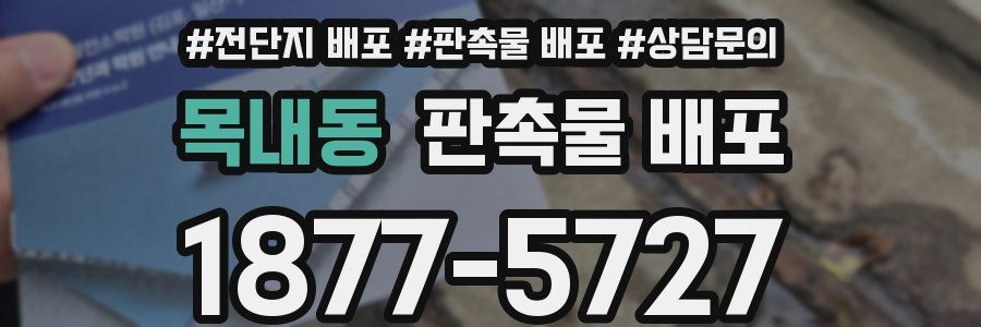 목내동 판촉물 배포