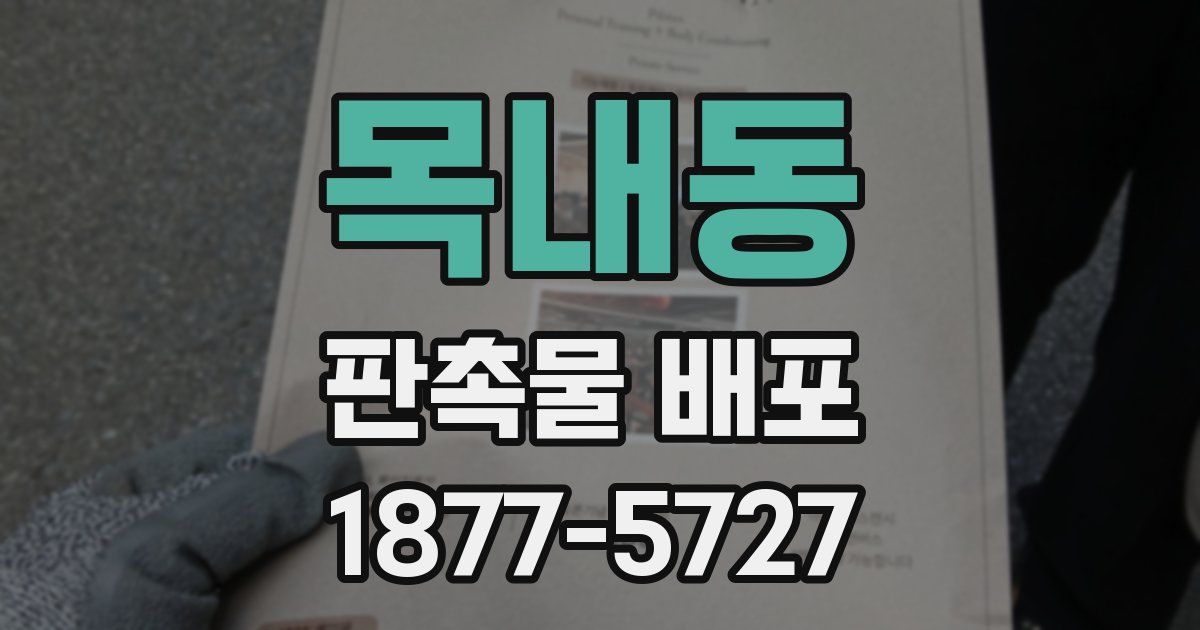 목내동 판촉물 배포