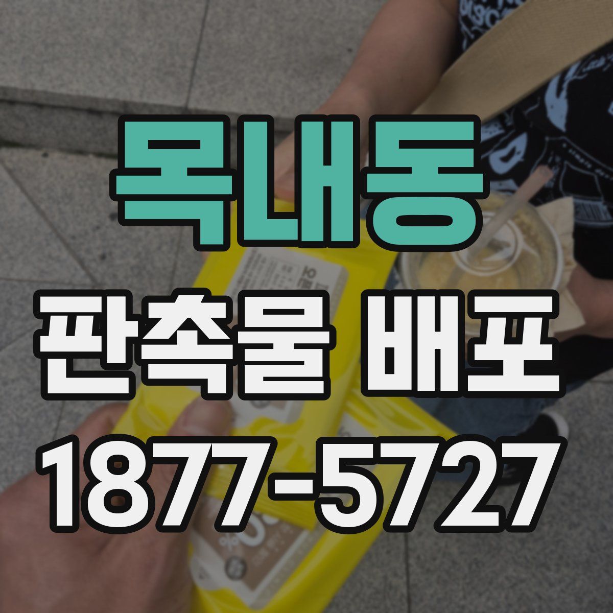 목내동 판촉물 배포